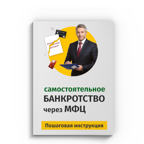 Пошаговая процедура банкротства через МФЦ в Ярославле